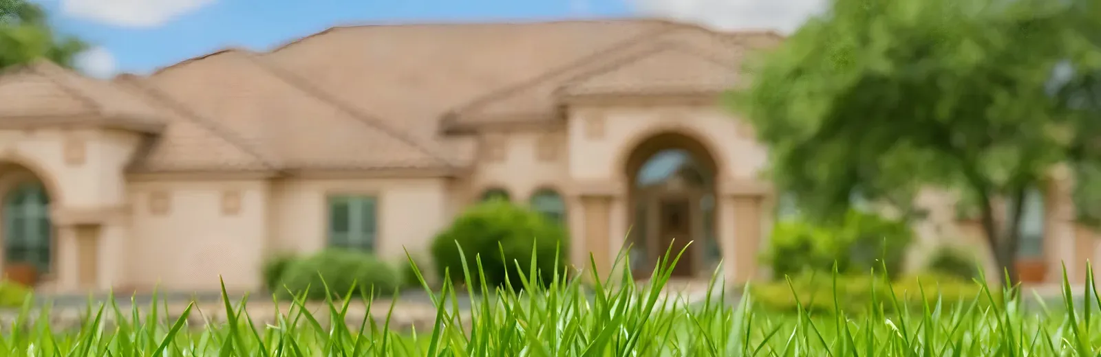 close up image of Arizona lawn in front of house